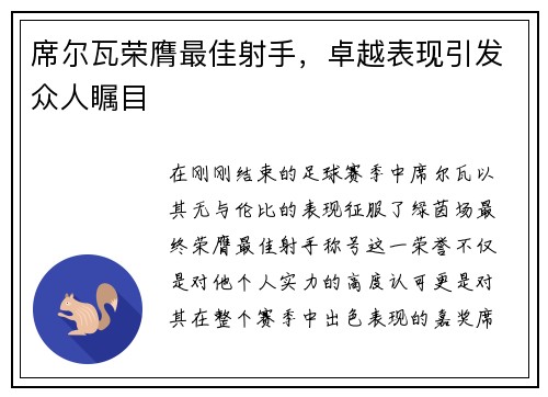 席尔瓦荣膺最佳射手，卓越表现引发众人瞩目