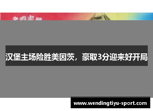 汉堡主场险胜美因茨，豪取3分迎来好开局