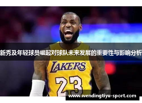 新秀及年轻球员崛起对球队未来发展的重要性与影响分析