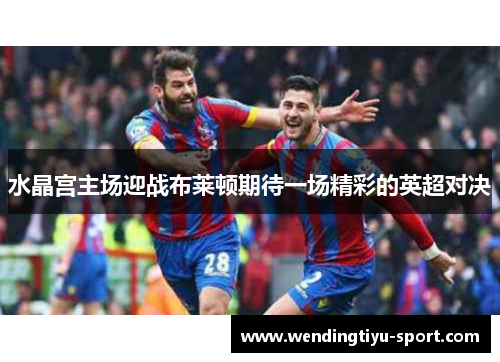 水晶宫主场迎战布莱顿期待一场精彩的英超对决